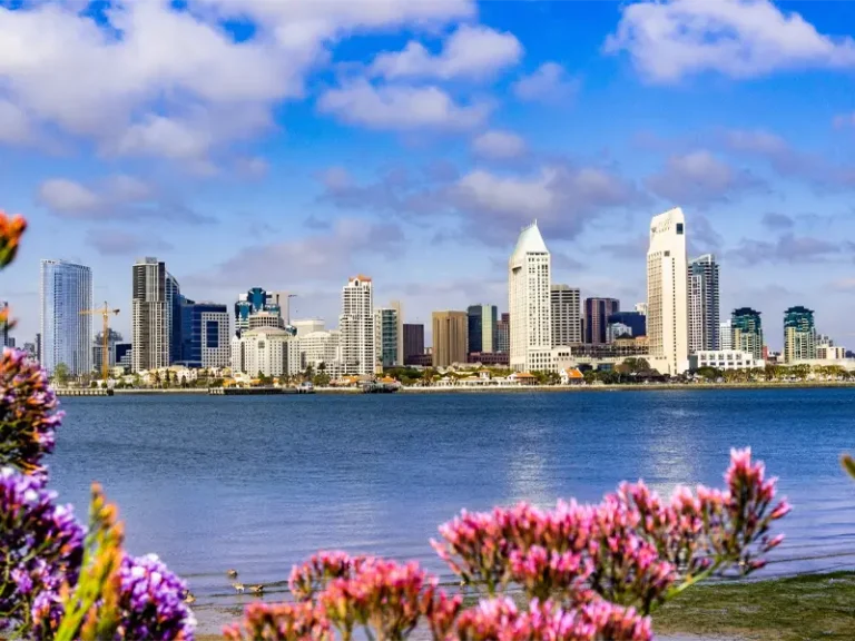 San Diego skyline across water with purple and pink flowers in the foreground. water damage restoration San Diego